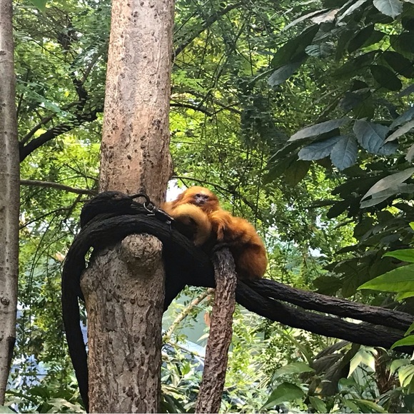 Meet your Posher, Tezali - Picture 2 of 2